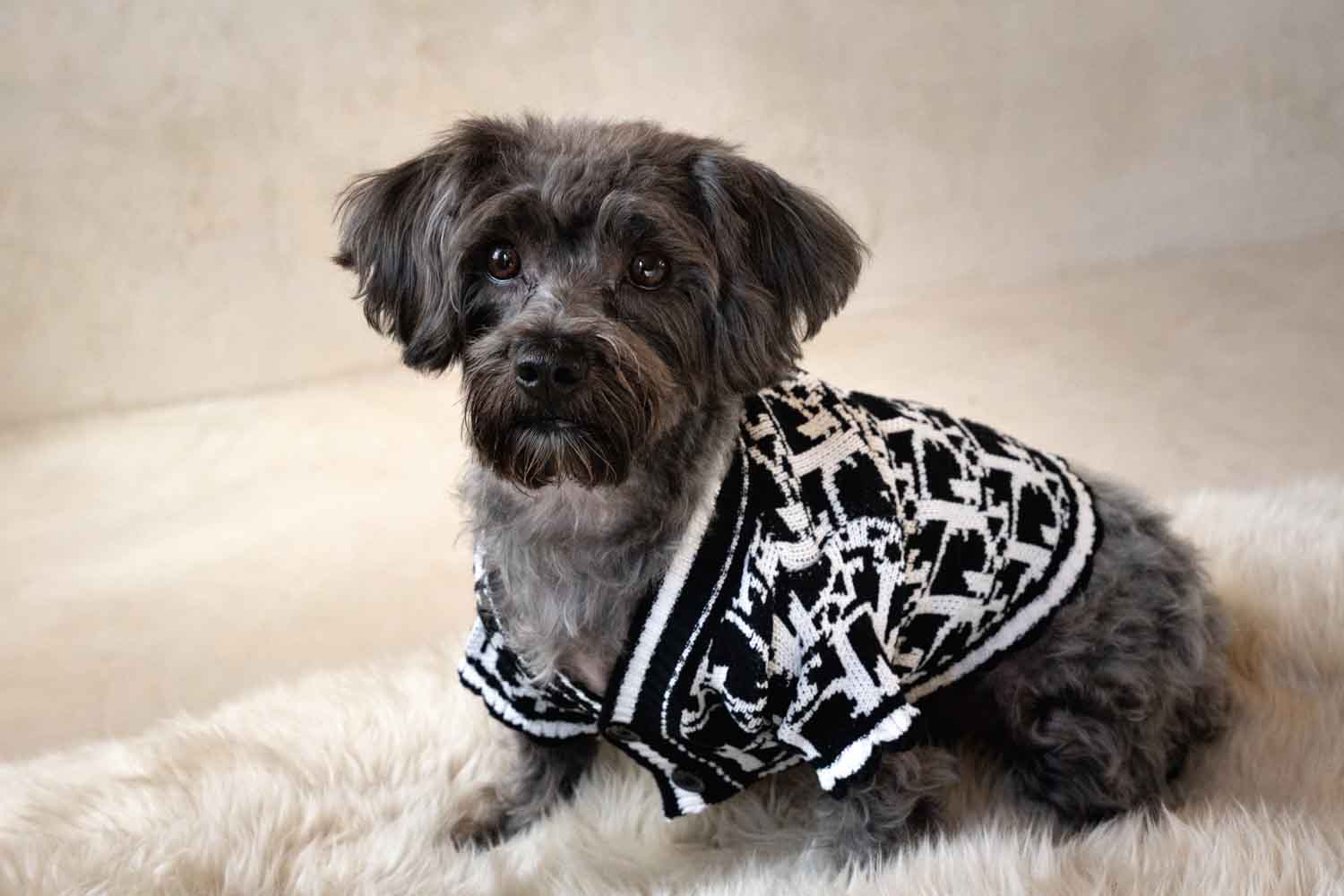 Black & White Luxury Dog Sweater