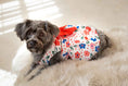 Load image into Gallery viewer, Flower Child Dog Dress with Red Bow