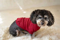 Load image into Gallery viewer, Basic Red Dog Hoodie