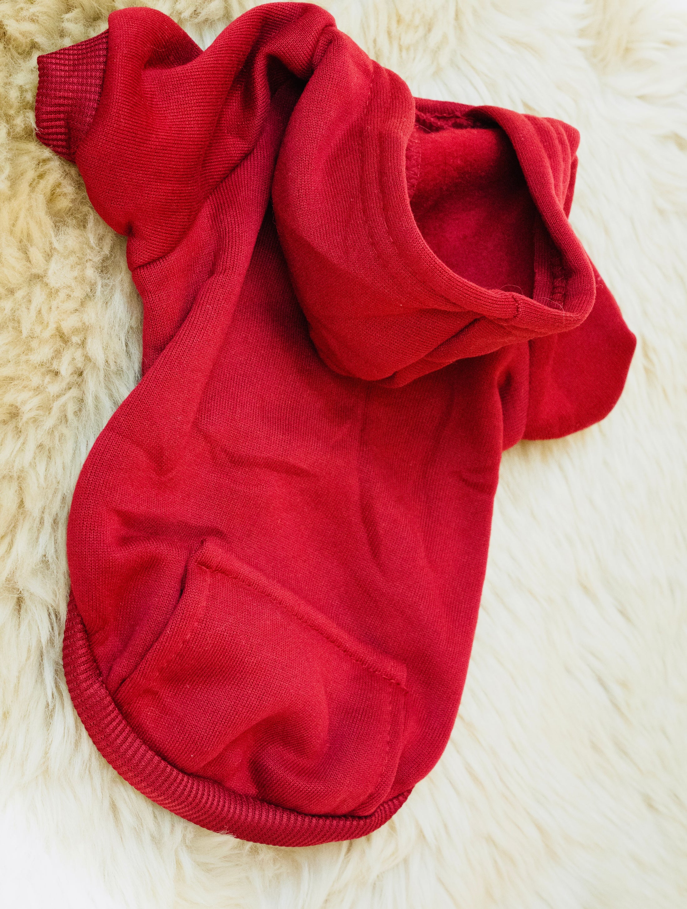 Basic Red Dog Hoodie