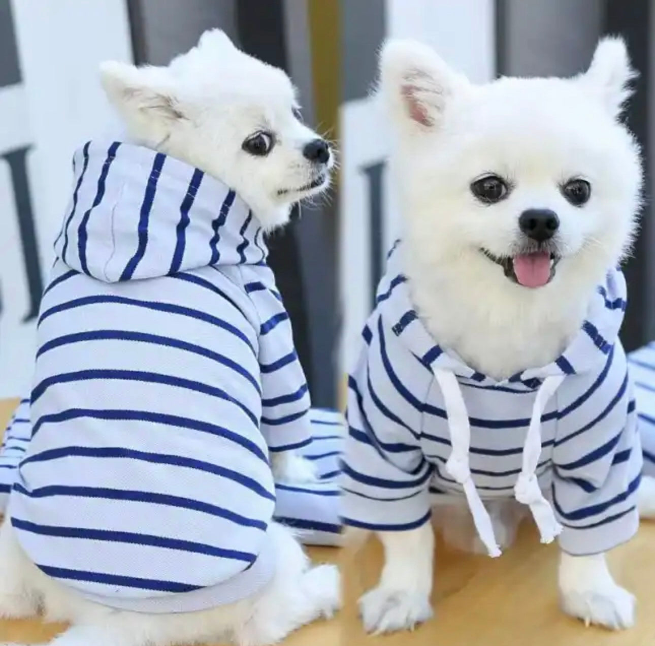 Light Blue and Navy Striped Dog Shirt
