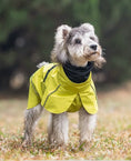 Load image into Gallery viewer, Yellow Reflective Dog Raincoat