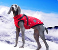 Load image into Gallery viewer, Red with Snowflake Print Dog Ski Jacket