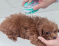 Load image into Gallery viewer, Portable Shower Massage Silicone Rubber Dog Brush