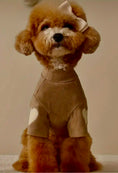 Load image into Gallery viewer, Heart Embroidered Taupe Pull Over Dog & Cat Sweater