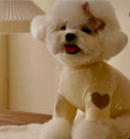 Load image into Gallery viewer, Heart Embroidered Taupe Pull Over Dog & Cat Sweater