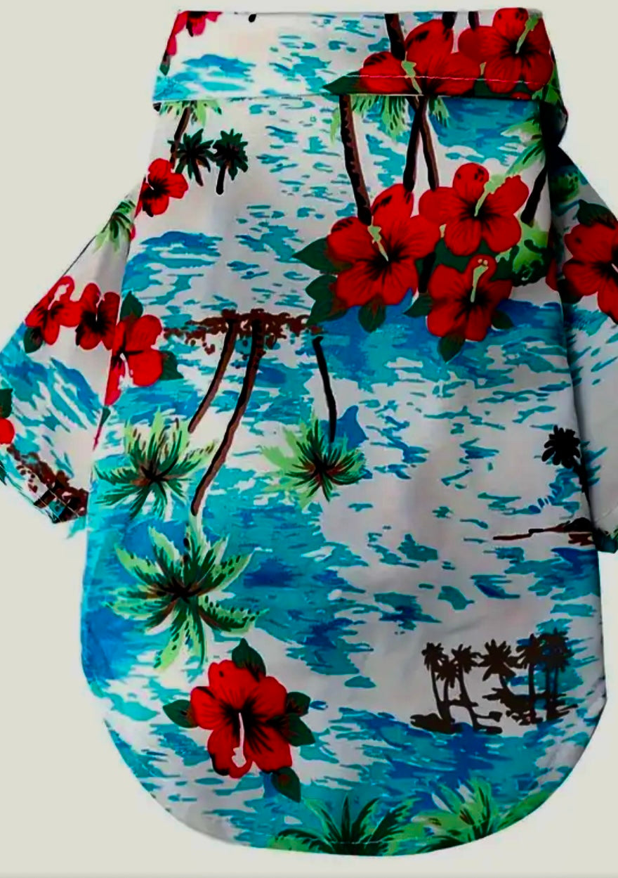 Hawaiian Style Summer Dog Shirt (Random Pick)