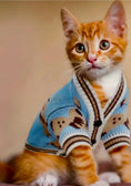 Load image into Gallery viewer, Warm, Soft, Knit Teddy Bear Dog & Cat Sweater