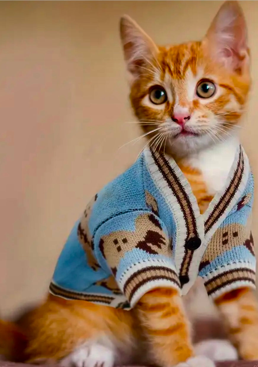 Warm, Soft, Knit Teddy Bear Dog & Cat Sweater