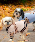 Load image into Gallery viewer, Warm, Soft, Knit Teddy Bear Dog & Cat Sweater