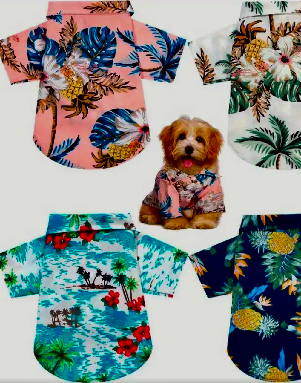 Hawaiian Style Summer Dog Shirt (Random Pick)
