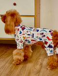 Load image into Gallery viewer, Soft All Season Dog Jumpsuit