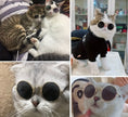 Load image into Gallery viewer, Fun In The Sun Doggie Sunglasses