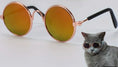 Load image into Gallery viewer, Fun In The Sun Doggie Sunglasses