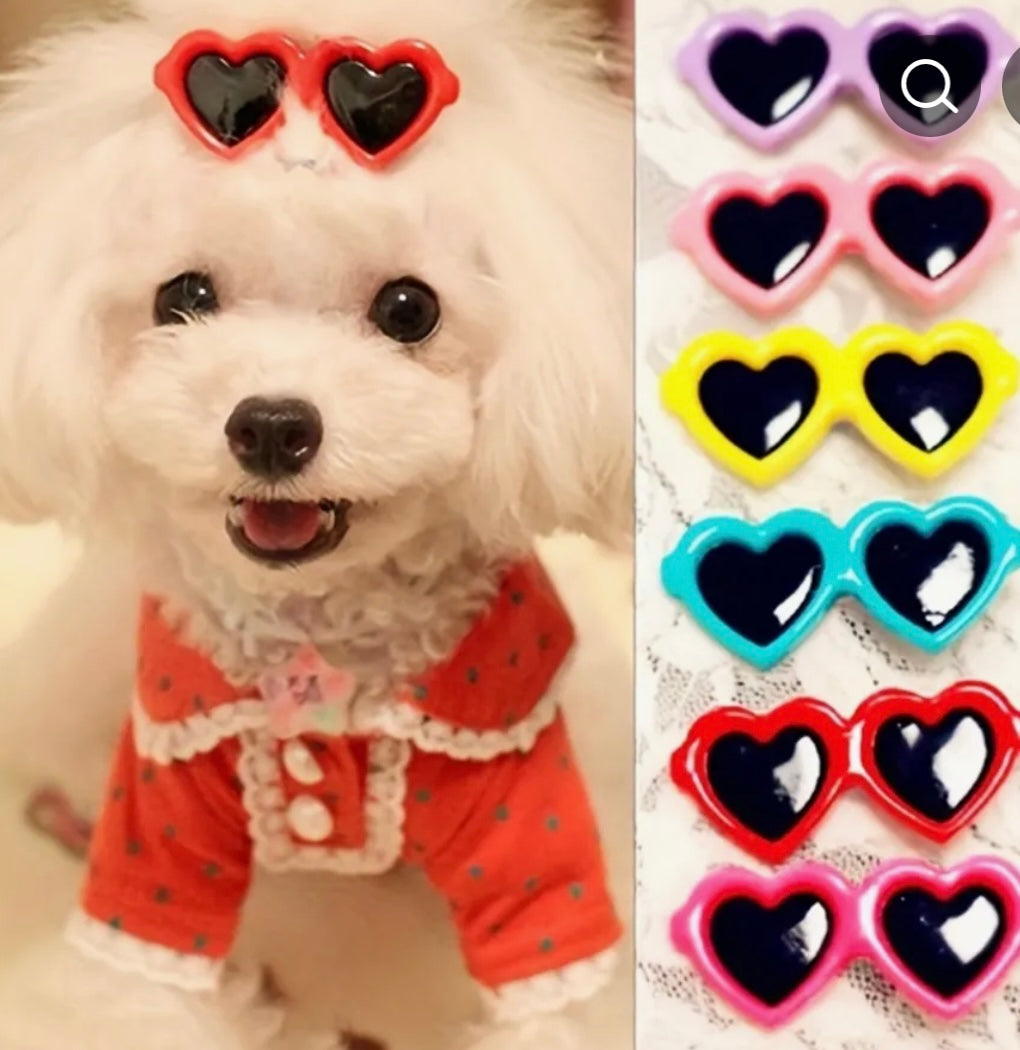 Beach Babe Doggie Sunglasses