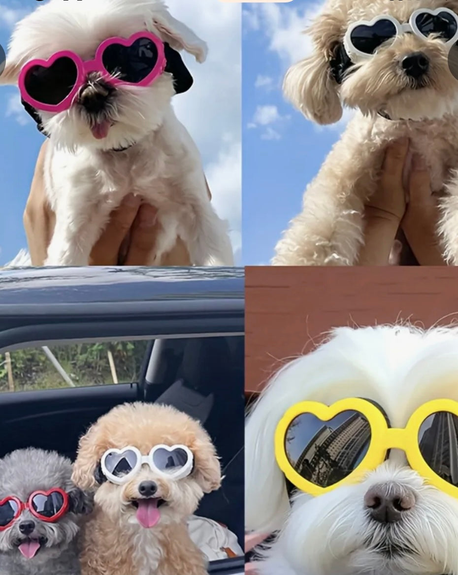 Beach Babe Doggie Sunglasses