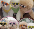 Load image into Gallery viewer, Beach Babe Doggie Sunglasses