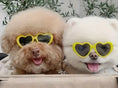 Load image into Gallery viewer, Beach Babe Doggie Sunglasses