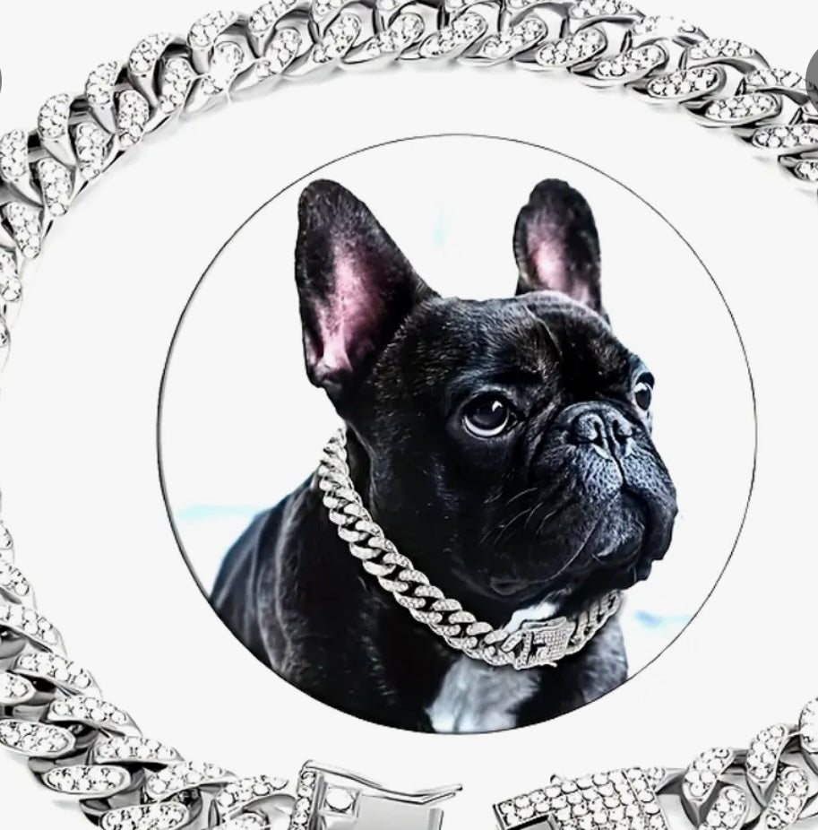 Secure Metal Cuban Dog Chain in  gold or Silver
