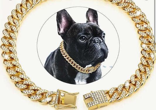 Secure Metal Cuban Dog Chain in  gold or Silver