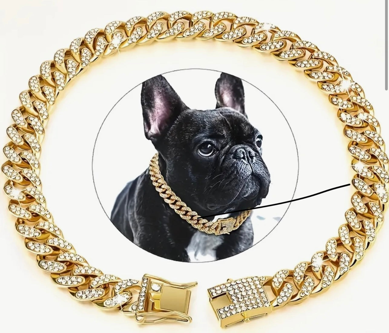 Secure Metal Cuban Dog Chain in  gold or Silver