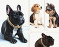 Load image into Gallery viewer, Secure Metal Cuban Dog Chain in  gold or Silver