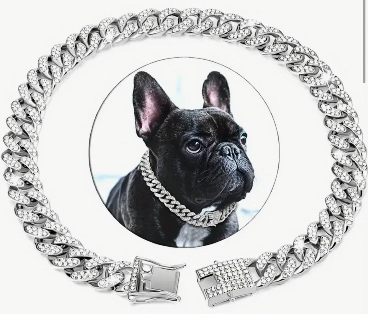 Secure Metal Cuban Dog Chain in  gold or Silver