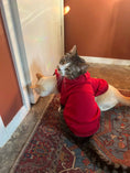 Load image into Gallery viewer, Basic Red Dog Hoodie