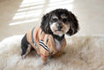 Load image into Gallery viewer, Neutral Plaid Luxury Dog Sweater
