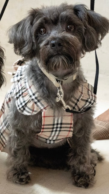Good Girl Gone Plaid Luxury Dog Dress – Remi's Kloset Good Girl Gone Plaid Luxury Dog Dress – Remi's Kloset