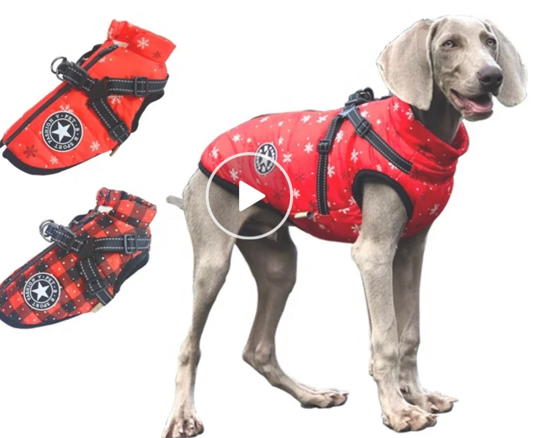 Red with Snowflake Print Dog Ski Jacket