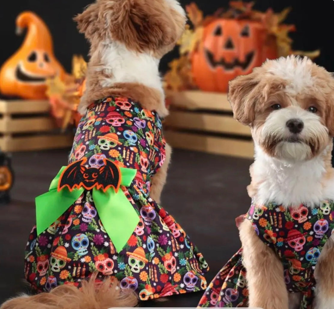 Day of The Dead Print Dog Dress