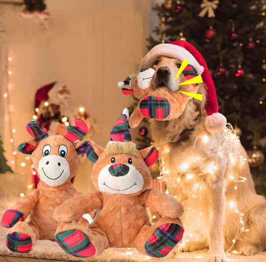 Bear Squeaky Plush Dog Toy